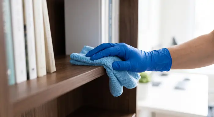 House cleaner dusting a bookshelf during a recurring cleaning visit in Ottawa